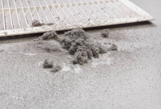 Best Residential Air Duct Cleaning  in Great Falls, SC