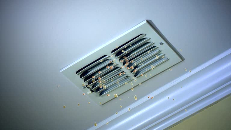 Best Air Duct Cleaning Near Me in SC