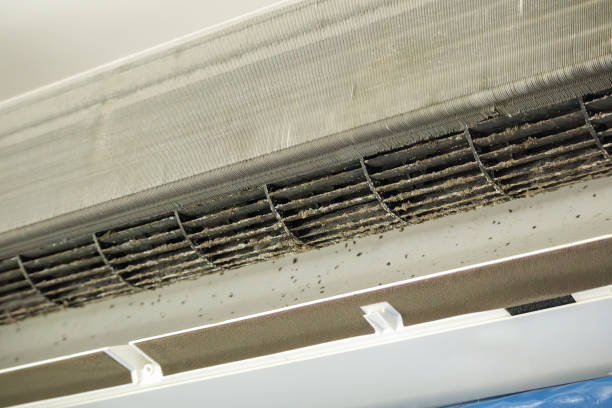 Best Affordable Duct Cleaning Services  in Great Falls, SC